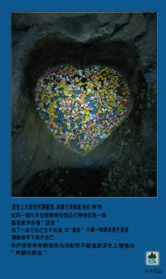 517889.jpg