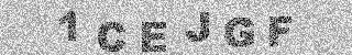 確認代碼