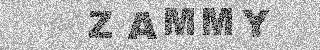確認代碼